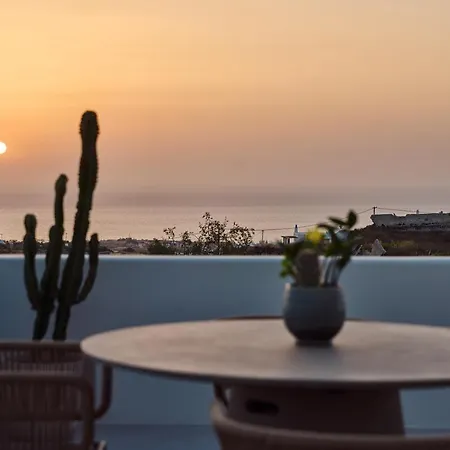 Lilium Homes